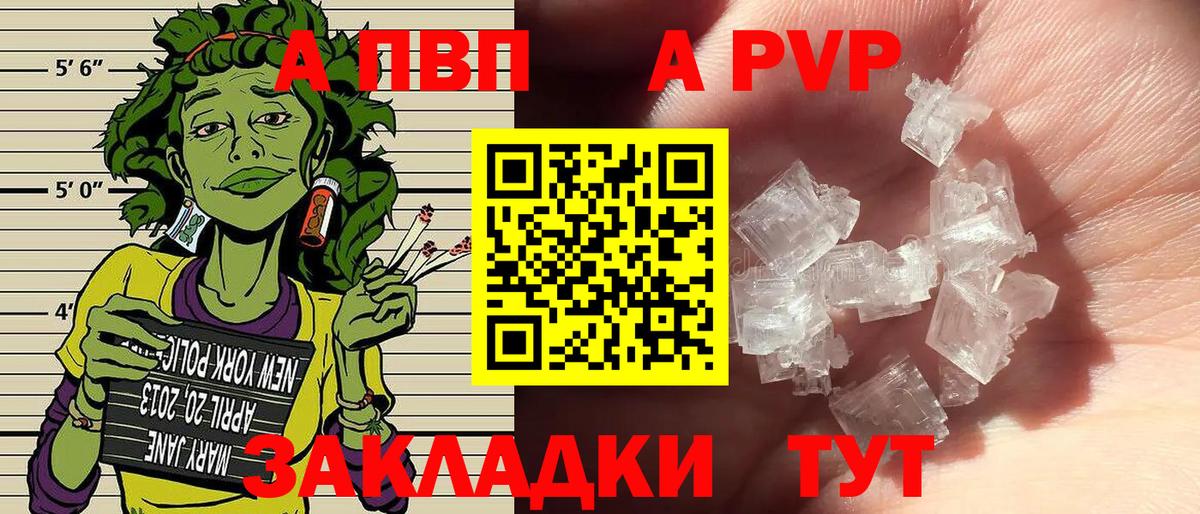 A PVP СК КРИС Заинск