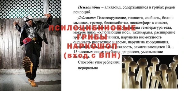 PSILOCYBIN Алексеевка