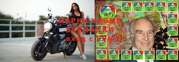 PSILOCYBIN Алексеевка