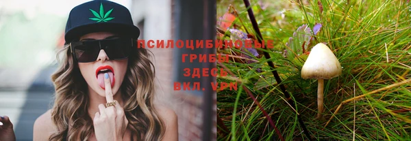 PSILOCYBIN Алексеевка