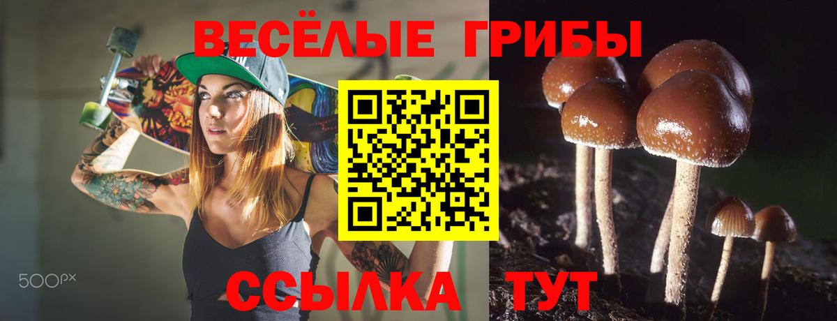 Галлюциногенные грибы прущие грибы  Галлюциногенные грибы мицелий  как найти закладки  Вход с VPN  Заинск 